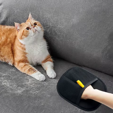 Gant De Nettoyage Pour Poils d'Animaux